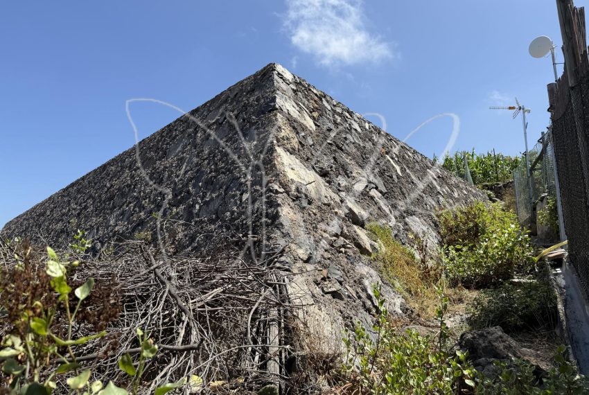 IMG_8262_resultado