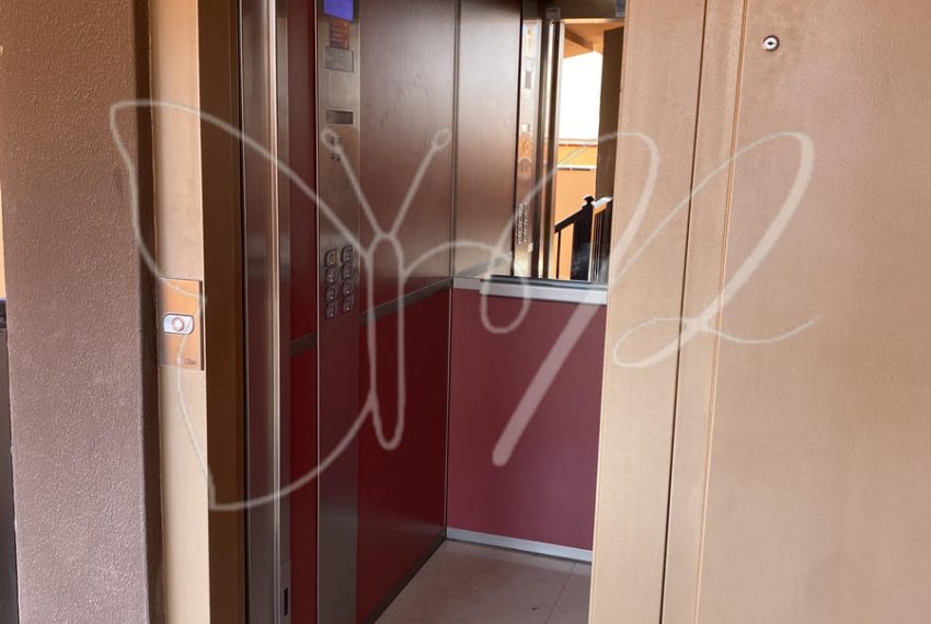 IMG_5121 3_resultado