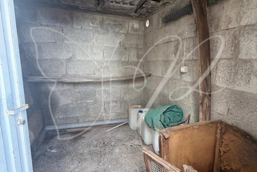 PHOTO-2025-12-11-10-37-27 10_resultado