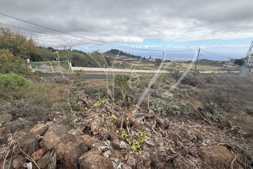 PHOTO-2025-12-11-10-37-27 13_resultado
