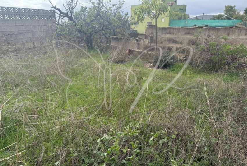 PHOTO-2025-12-11-10-37-27 16_resultado