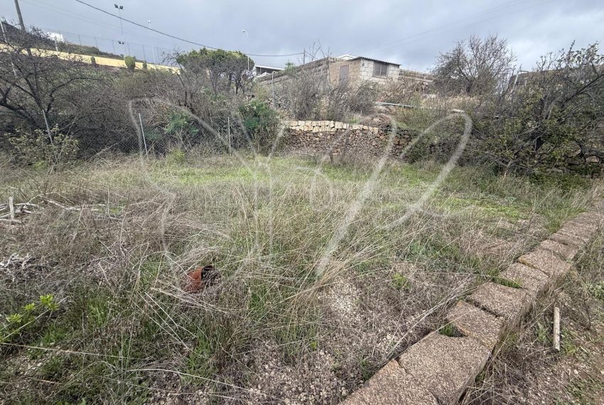 PHOTO-2025-12-11-10-37-27 21_resultado