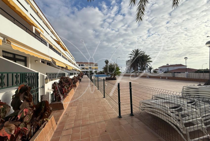 PHOTO-2026-03-10-12-23-18 13_resultado