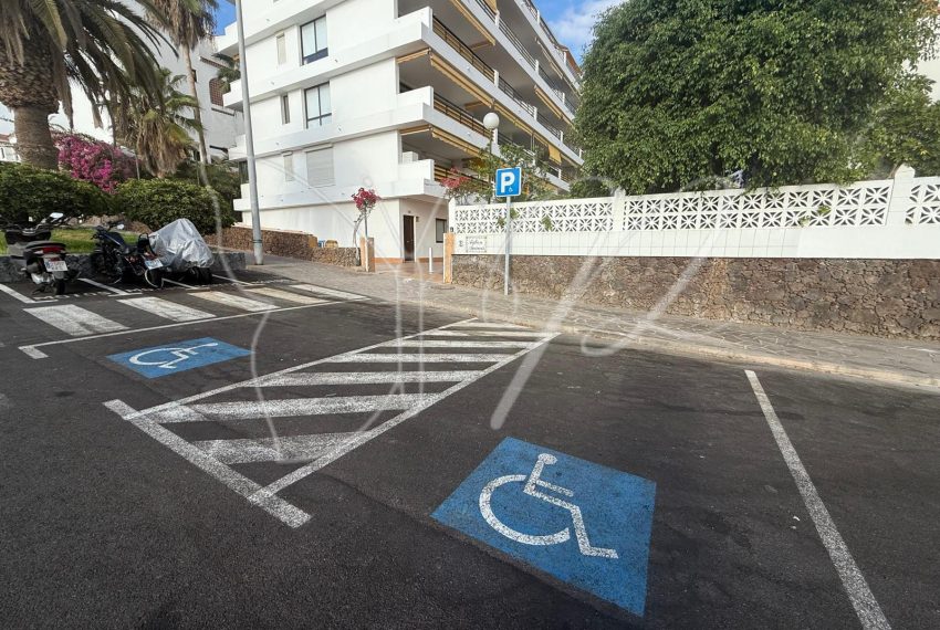 PHOTO-2026-03-10-12-23-18 15_resultado