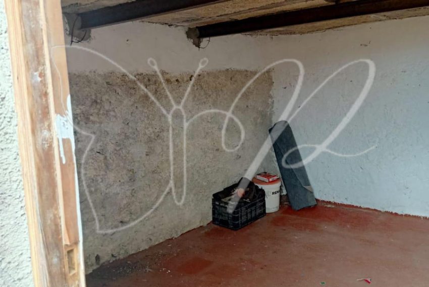 PHOTO-2026-03-31-16-03-35 4 2_resultado