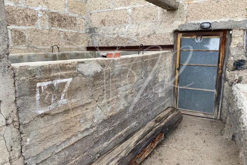 PHOTO-2026-03-31-16-03-35 5 2_resultado