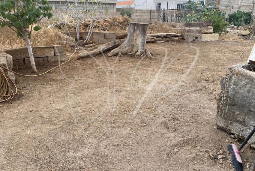 PHOTO-2026-03-31-16-03-35 7 2_resultado