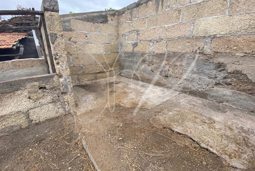 PHOTO-2026-03-31-16-03-35 8 2_resultado