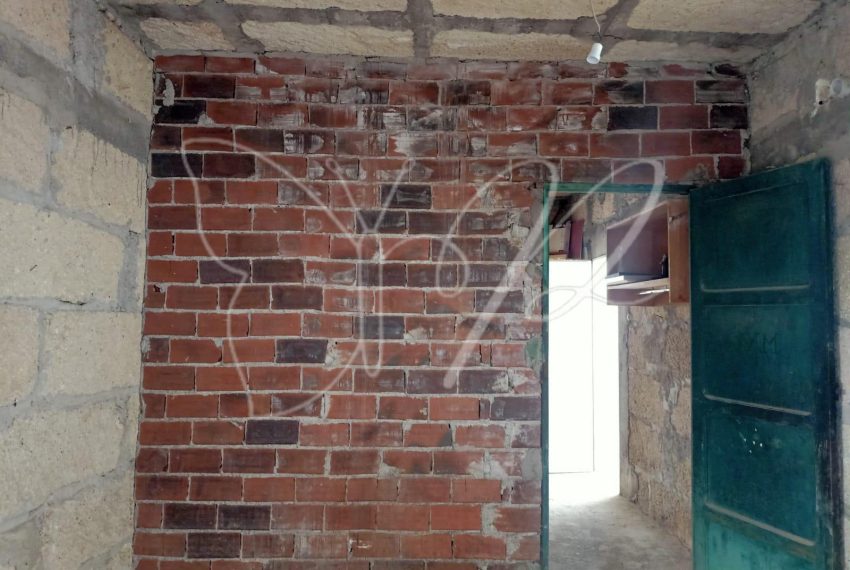 PHOTO-2026-03-31-16-03-35_resultado